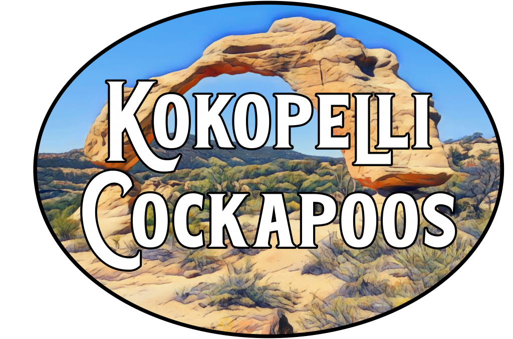 Cuddlywoof Bow Tie — Raffles Cockapoos